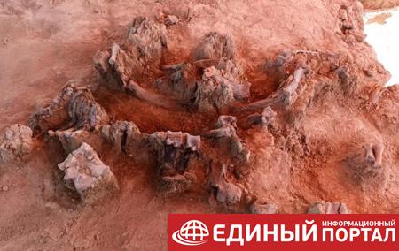 В Мексике обнаружили захоронения людей и мамонтов