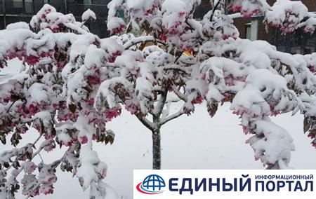 Восточную Европу засыпало снегом
