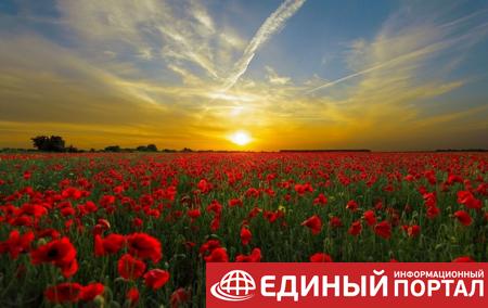 День летнего солнцестояния-2020: история и приметы