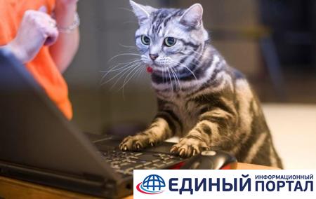 Какой праздник 17 июня 2020: неожиданные факты и приметы