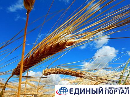 Какой праздник 17 июня 2020: неожиданные факты и приметы