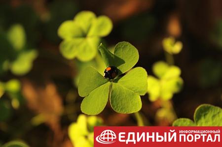 Какой праздник 18 июня 2020: именины, поверья, традиции