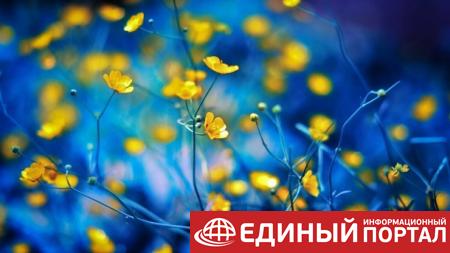 Какой праздник 18 июня 2020: именины, поверья, традиции