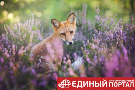 Какой праздник 18 июня 2020: именины, поверья, традиции