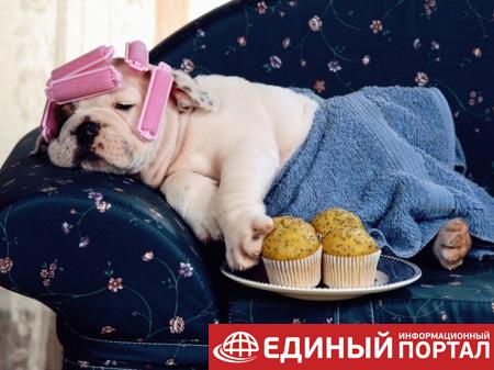 Какой праздник 22 июня 2020: неожиданные факты, именины