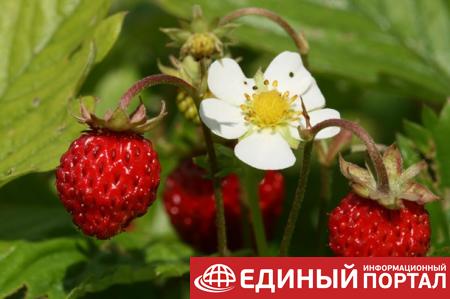 Какой праздник 22 июня 2020: неожиданные факты, именины