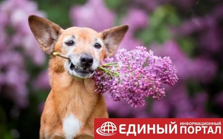 Какой праздник 22 июня 2020: неожиданные факты, именины