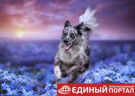 Какой праздник 24 июня 2020: приметы, чего нужно опасаться