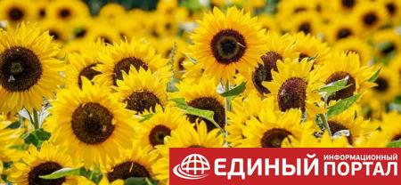Какой праздник 3 июня 2020: День ангела и приметы