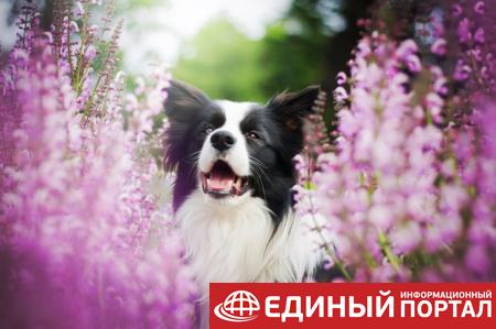 Какие праздники 17 июля 2020: неожиданные факты, именинники