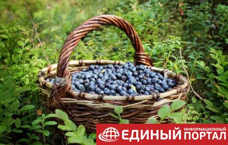 Какие праздники 22 июля 2020: удивительные факты, события и приметы