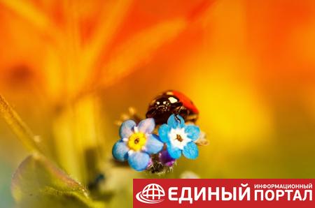 Какие праздники 23 июля 2020: невероятные факты, приметы, именинники