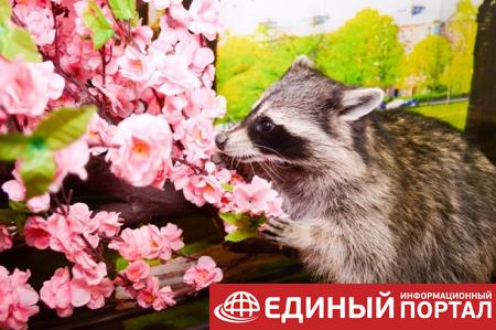 Какие праздники 24 июля 2020: приметы, занимательные факты