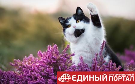 Какие праздники 27 июля 2020: забавные факты, приметы, именинники
