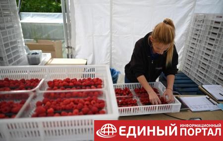 В Германии вспышка COVID-19: заболели украинцы