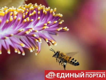 Какие праздники 17 августа 2020: приметы, именинники, интересные даты