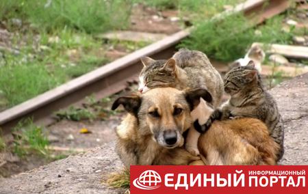 Какие праздники 21 августа 2020: интересные факты, странные традиции