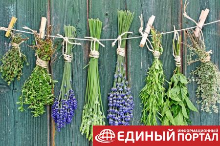 Какие праздники 21 августа 2020: интересные факты, странные традиции