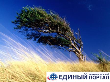 Какие праздники 21 августа 2020: интересные факты, странные традиции