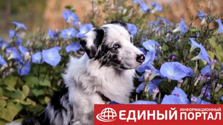 Какие праздники 21 августа 2020: интересные факты, странные традиции