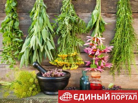 Какие праздники 26 августа 2020: забавные даты, невероятные факты