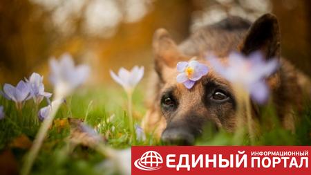 Какие праздники 26 августа 2020: забавные даты, невероятные факты