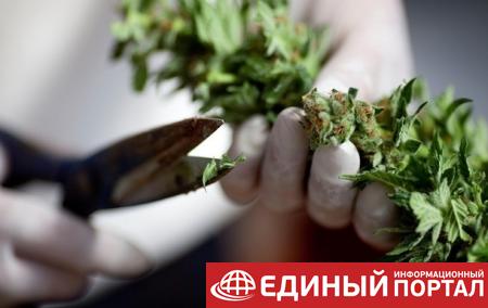 В Марокко конфисковали 13 тонн марихуаны
