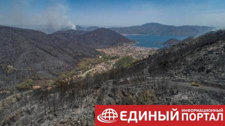 Эрдоган назвал возможную причину лесных пожаров