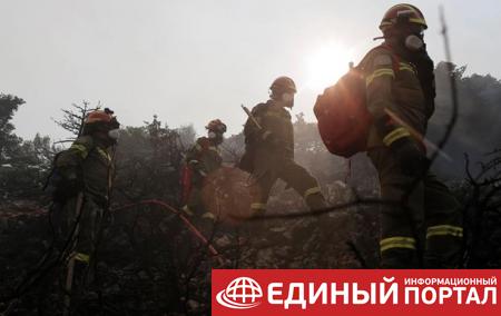 Лесные пожары Греции: за десять дней сгорело более 56 тысяч гектаров