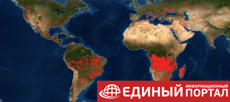 NASA опубликовало карту пожаров Земли