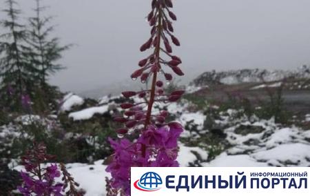 Один из регионов РФ третий раз засыпало снегом