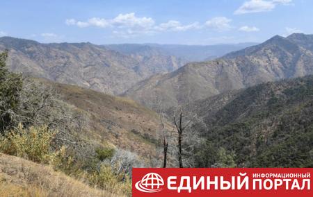 Таинственную гибель семьи туристов связали с токсичными водорослями