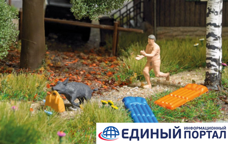 В ФРГ выпустили фигурки в честь нудиста, который бегал за кабаном-вором