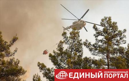 В Турции локализовали более 100 лесных пожаров