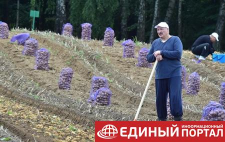 Беларусь впервые начала импортировать картофель