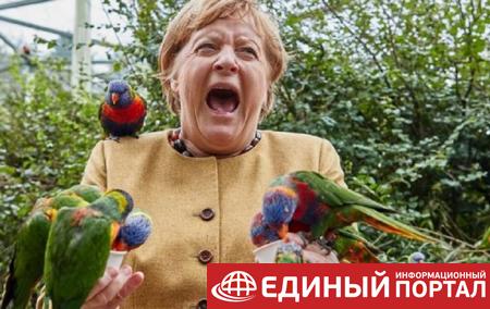 Фото Меркель с попугаями позабавили соцсети