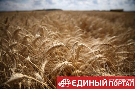 Семена из России. Пшеничная дипломатия Кремля