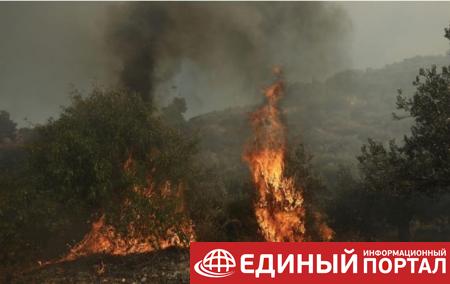 В Греции на горе Афон горит лес