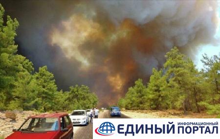 В Турции снова горит лес