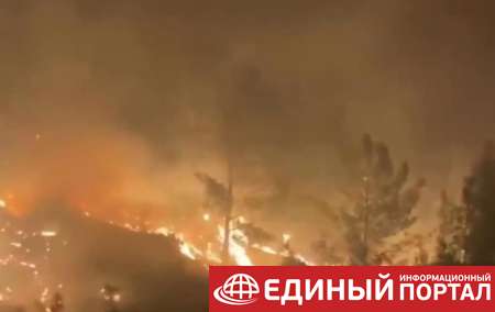 В Турции снова горят леса