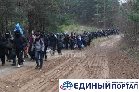 Мигранты в Беларуси покидают лагерь на границе