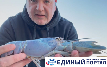 В США поймали редкого перламутрового омара