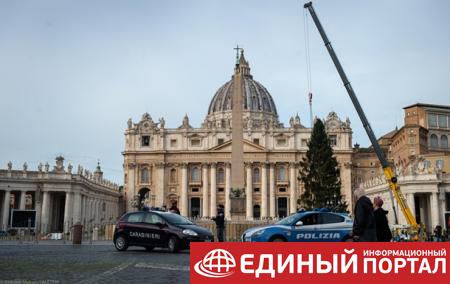 В Ватикане установили рождественскую елку