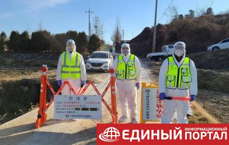 В Южной Корее зафиксировали восьмую вспышку птичьего гриппа