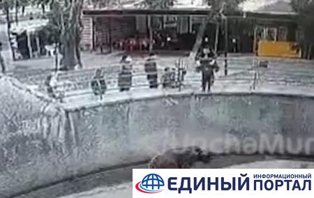 Появилось видео, как в Ташкенте мать бросает дочь в вольер к медведю