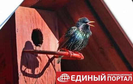 В Беларуси защитников птиц обвиняют в экстремизме