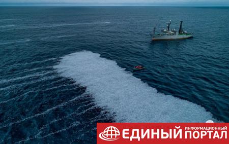Возле берегов Франции появился "ковер" мертвых рыб